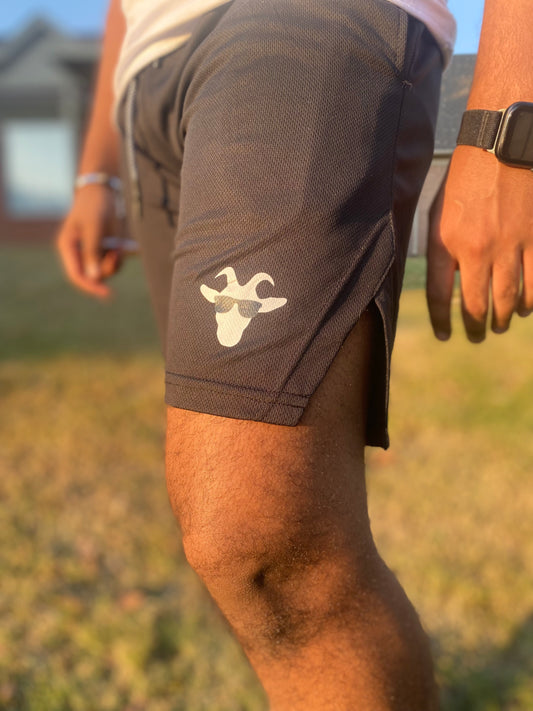 Premium Legacy Shorts