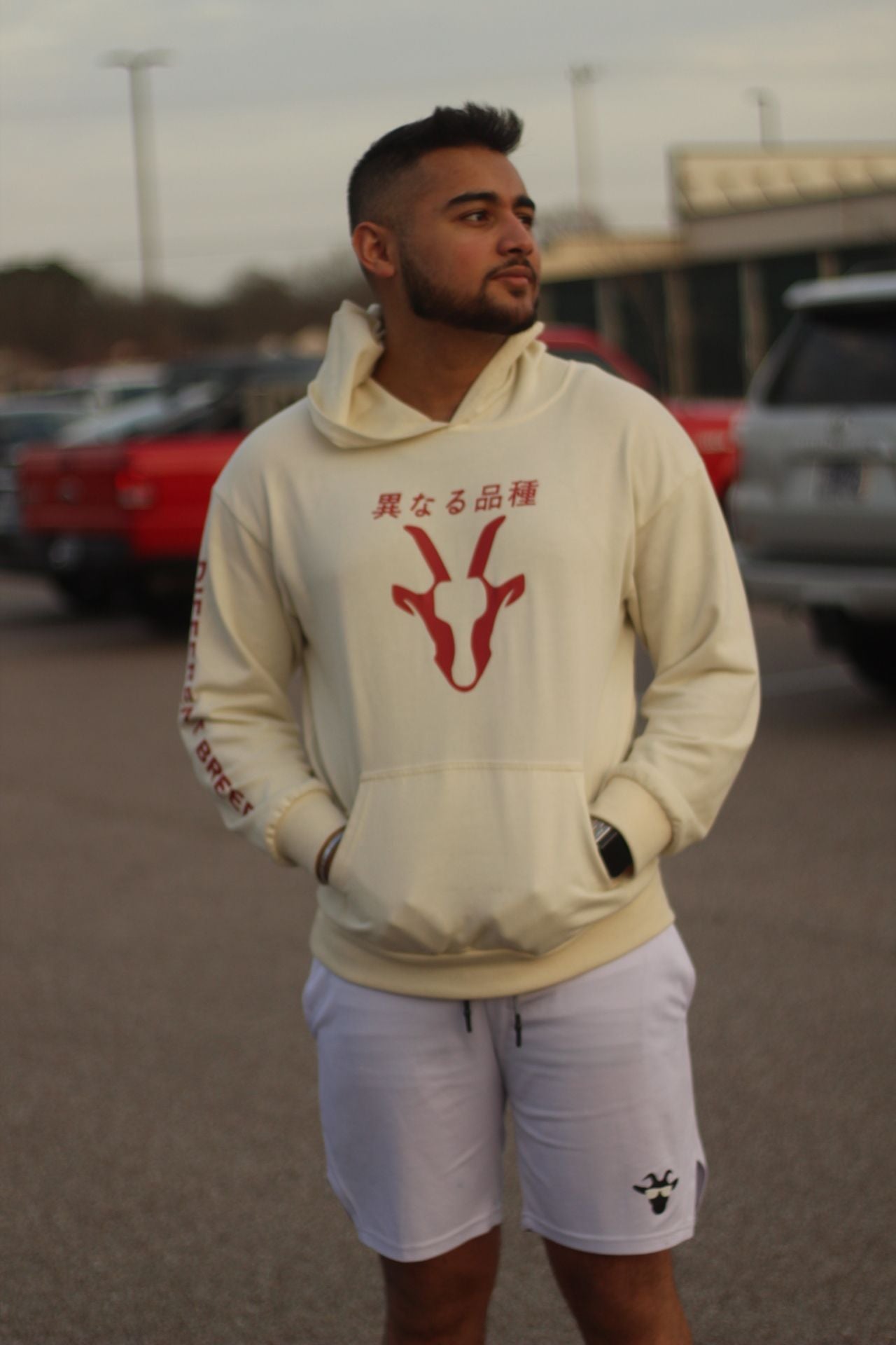 Premium Legacy Pullover Hoodie